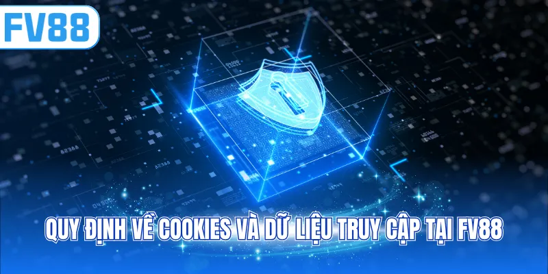 Quy định về cookies và dữ liệu truy cập tại FV88